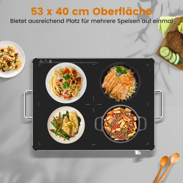 Coast Elektrische Warmhalteplatte 400 W – 30–120 °C – 61 x 42 x 4 cm – Schwarz