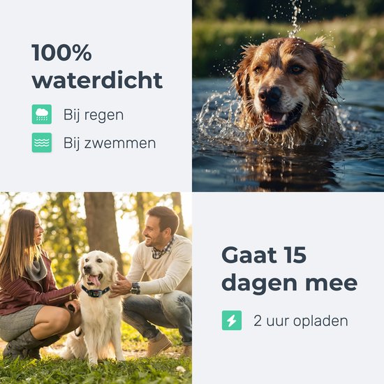 Dutchwide Anti-Bell Halsband Pro - Hundetrainingshalsband - Ton & Vibration - 9 Empfindlichkeitsstufen - Wasserdicht IPX7