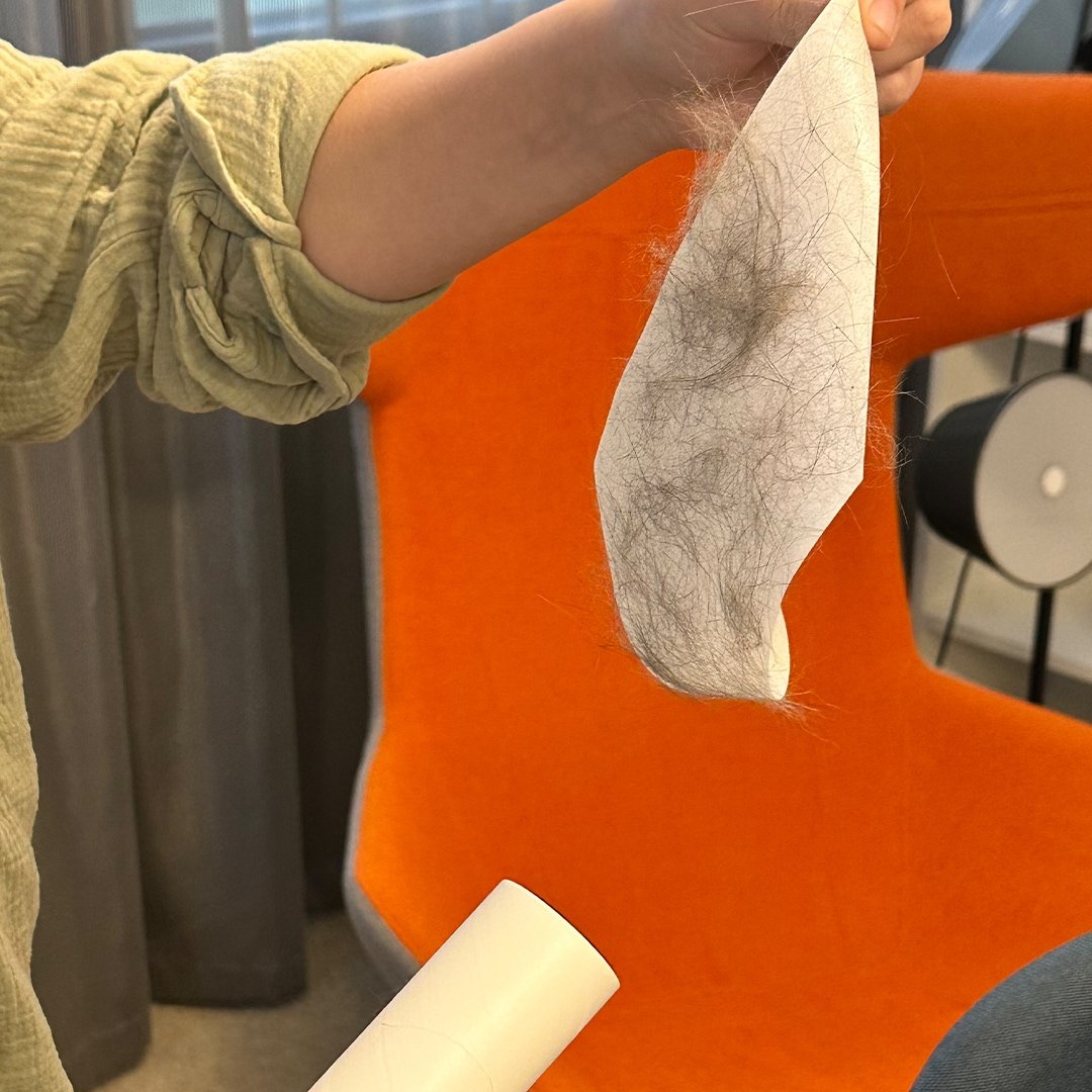 Livington Fusselroller – Entfernt Fusseln und Haare – Wiederverwendbare Kleberolle – Für verschiedene Oberflächen geeignet