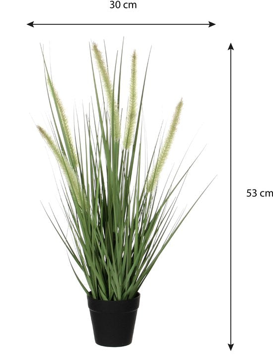 Mica Decorations Hundsschwanzgras Künstliche Pflanze - H53 x Ø30 cm - Grün