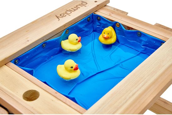 Plum Surfside Sand, Wasser und Picknicktisch