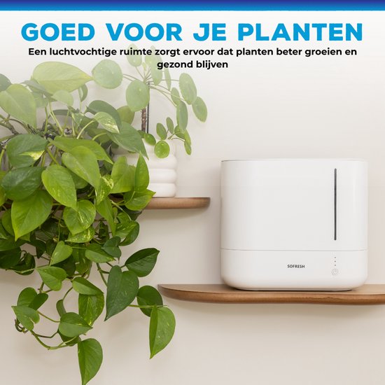 Sofresh Luftbefeuchter mit App