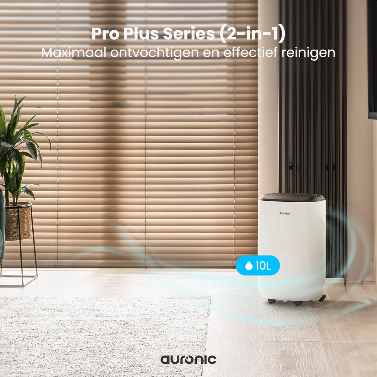 Auronic Luftentfeuchter und Luftreiniger - Pro Plus Serie - Schlafzimmer und Wohnzimmer - Entfeuchtet 10L pro Tag im Haus - Waschtrockenfunktion - Weiß