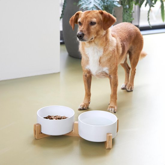Fressnapf Hund - Trinknapf - Mit Bambusständer - 2x 800 ml - Größe M - Weiß Matt