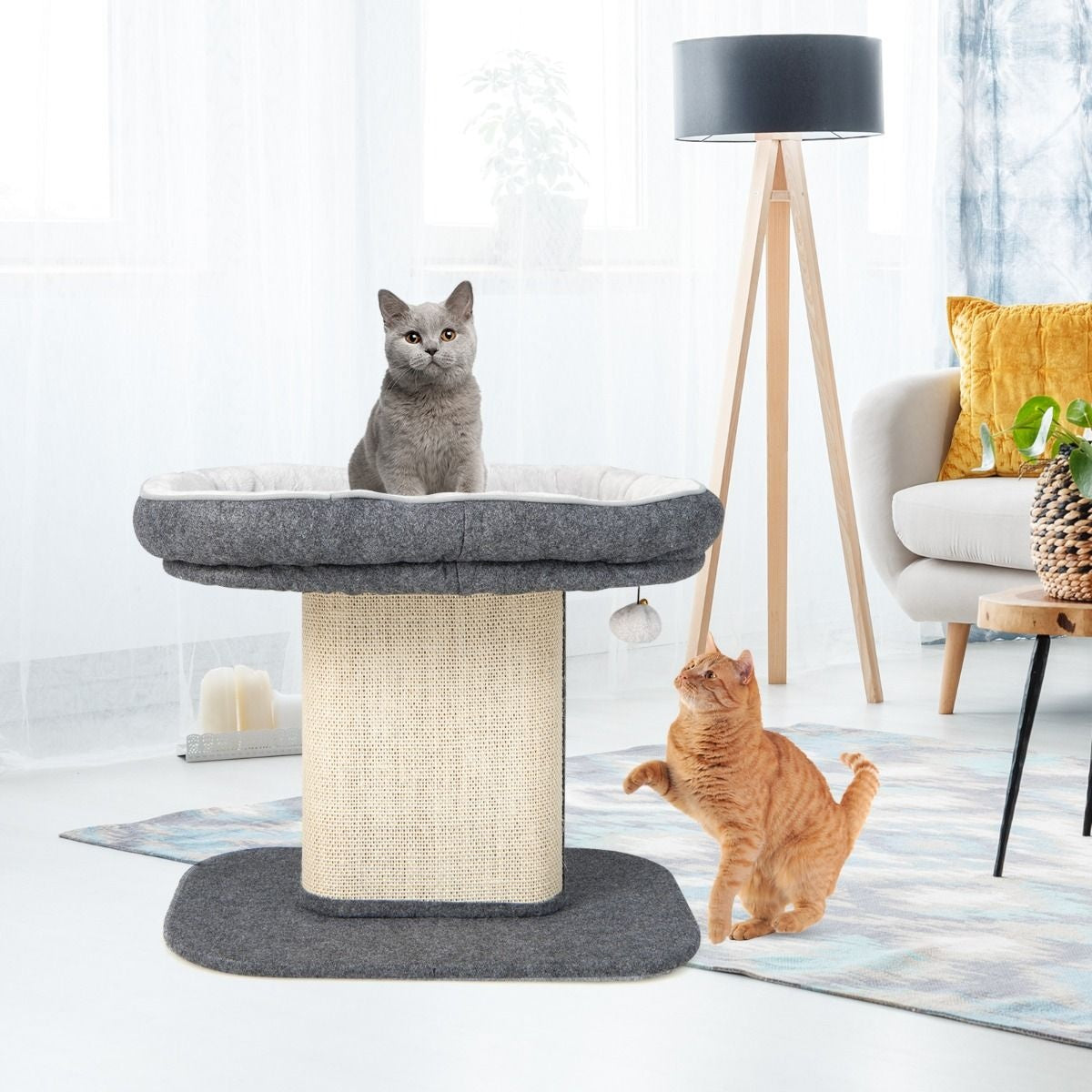 Coast Modern Kratzbaum Katzenmöbel mit großem Plüschsessel und Sisalkratzbrett grau