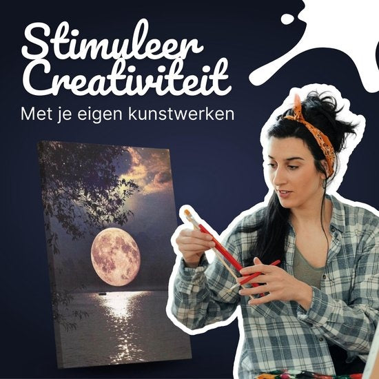 RubyeÂ® Malen nach Zahlen Erwachsene - Vollmond - Farben und Pinsel enthalten - Leinwand Malen nach Zahlen - 40x50cm