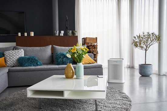 Rowenta Pure Air Genius PU3080F0 - Luftreiniger