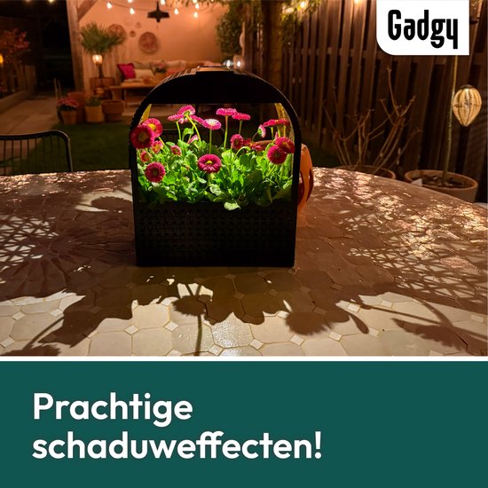 Gadgy Solar-Wandleuchte mit abnehmbarem Blumenkasten – Solarbetriebene Gartenbeleuchtung – Warmweißes LED-Licht – 30 x 25 cm – Schwarzes Metall