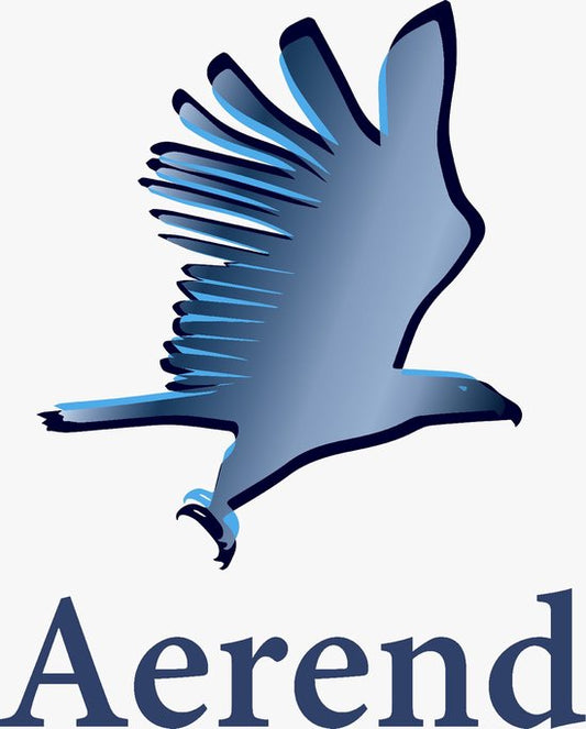 Aerend - 12 LED Teelichter