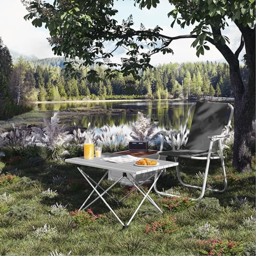 Woltu Klapptisch Camping Tisch Picknick Tisch Aluminium Silber 68 x 46 x 40 cm