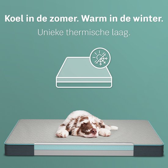 CozySense® - Orthopädisches Hundekissen 60 X 40 Cm - Größe S - Wasserdicht - Geeignet als Sitzkissen & Hundebett
