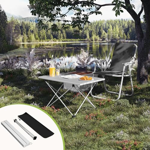 Woltu Klapptisch Camping Tisch Picknick Tisch Aluminium Silber 68 x 46 x 40 cm