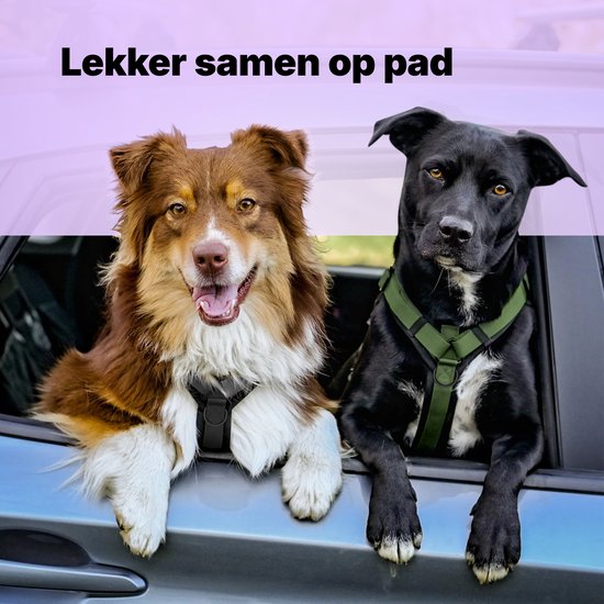 Jake und Jacky Hundegeschirr für große Hunde - Anti-Zug-Geschirr - Y-Geschirr Hund - Hundegeschirr - Schwarz - Größe XL