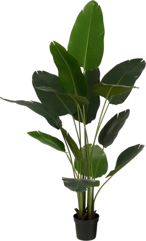 Mica Decorations Künstlicher Bananenbaum im Topf - H180 x Ø30 cm - Grün