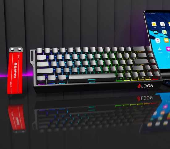 Mide68 – 65 % kabelgebundene Gaming-Tastatur – RGB-beleuchtete Tastatur – Mechanische Tastatur mit Hall-Effekt-Rapid-Trigger-Schaltern – Hot-Swap – 8 kHz – 0,01 mm Reaktionszeit – 0,125 ms – Seitlich bedruckte Tasten – 68 Tasten – Bestes Preis-Leistungs-V