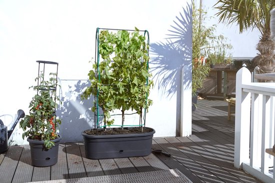 Elho Green Basics Veggie Wall 80 – Pflanzkasten – Vertikales Gärtnern – 100 % recycelter Kunststoff – Ø 77,5 x H 26,0 cm – Living Black