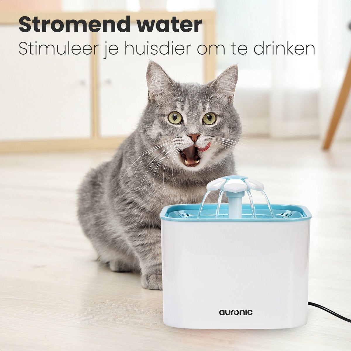 Auronic Trinkbrunnen - Wasserbrunnen für Katzen und Hunde - 2L - Tiertränke - Inkl. 4 Filter - Schwarz