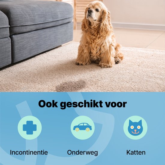 Jake and Jacky 240 Puppy Training Pads 60 x 90 cm - mit Klebestreifen - Toilettentraining Hund - Hundetoilette - Pinkelpads Hund - Extra Large