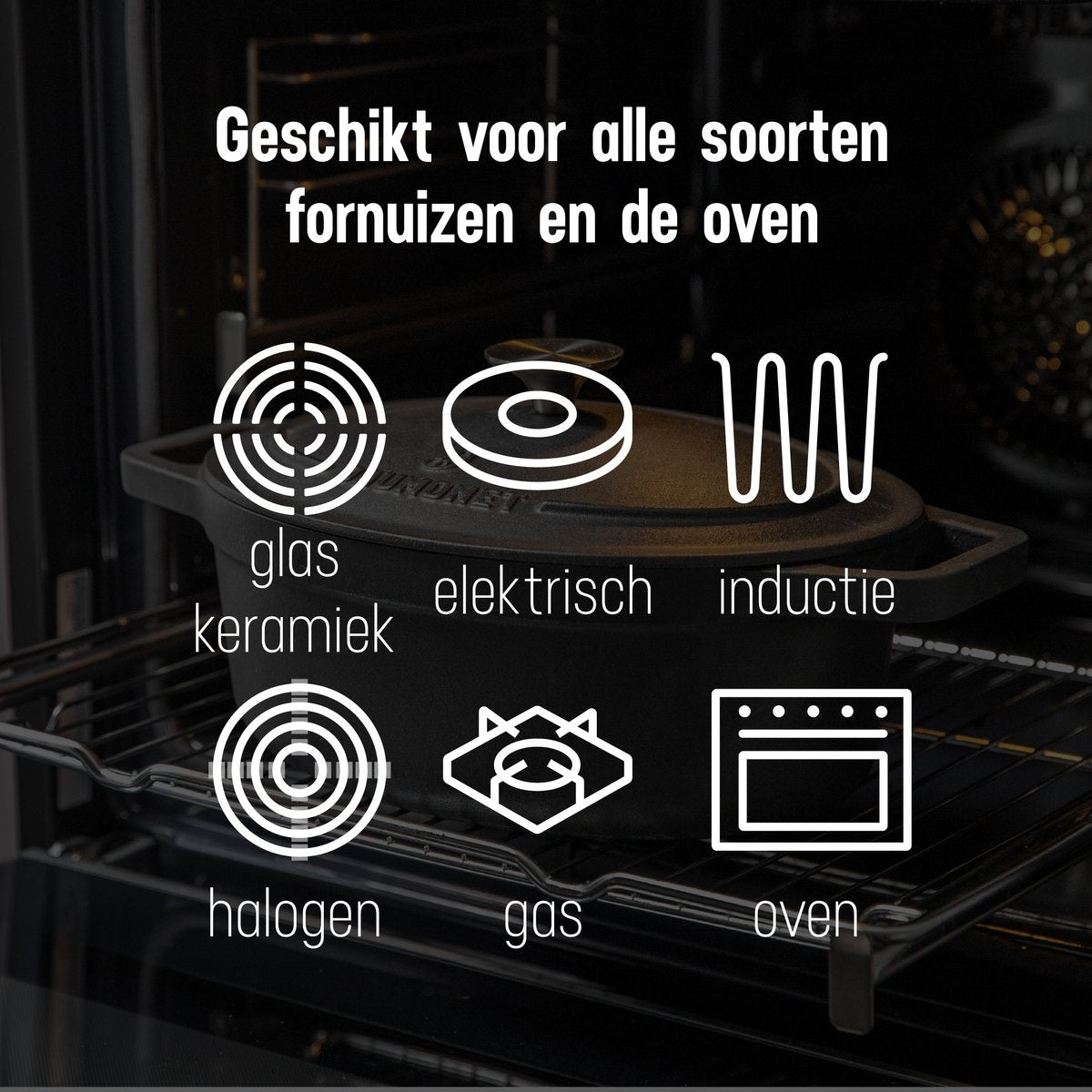Daumonet Bocuse Noir gietijzeren braadpan - sudderpan Zwart - Ovaal - ÃƒËœ 29 cm - 3 liter - 100% PFAS & PFOA vrij - Emaille - Geschikt voor alle warmtebronnen - Elektrisch - Gas - Halogeen - Inductie - Keramisch - Vaatwasserbestendig - DAU-CIC-BLACK-29