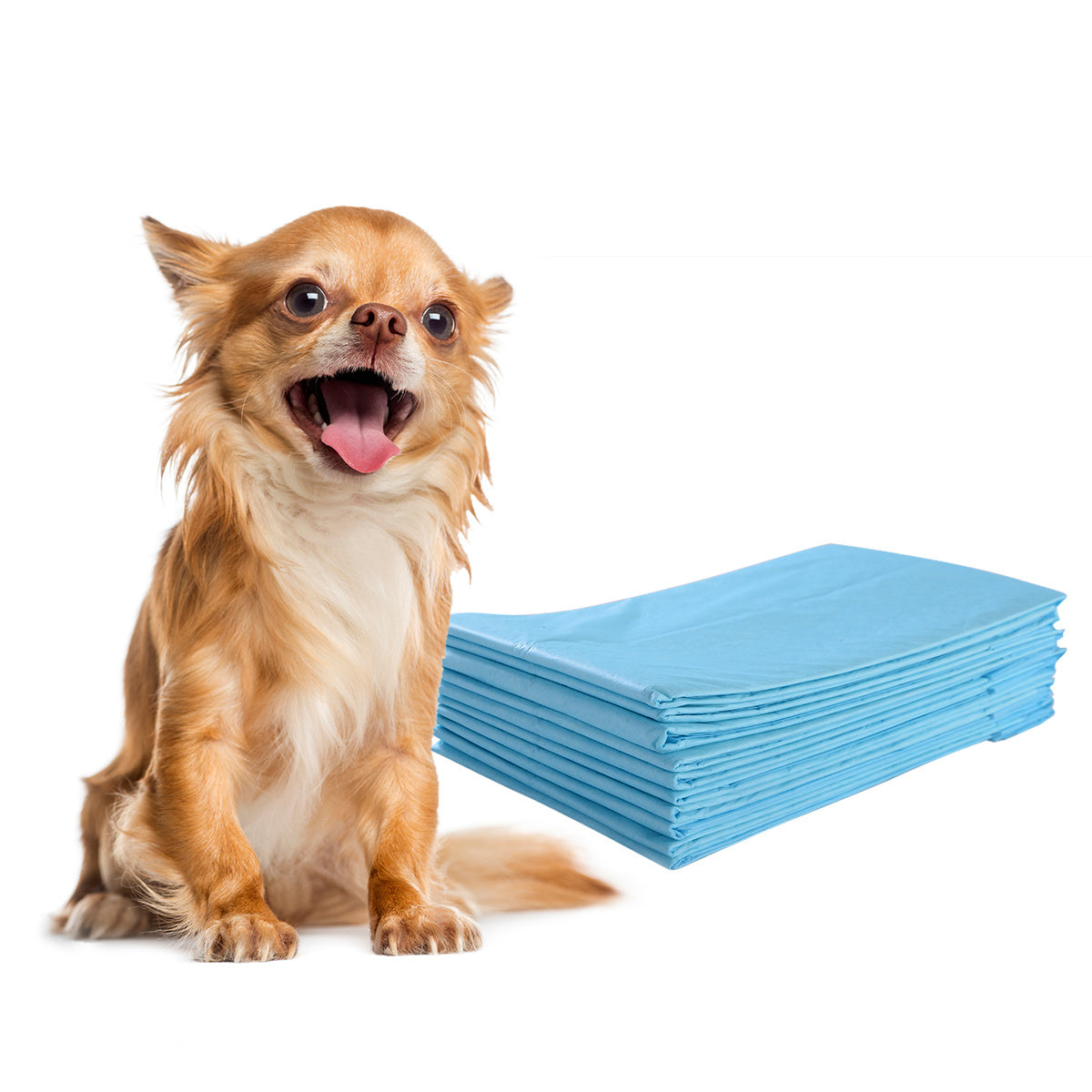 Coast 300 Stück Hundetrainingspapiere Auslaufsicheres 5-lagiges Design 60 x 40 cm