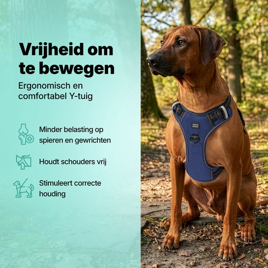 Jake and Jacky Hundegeschirr – Anti-Zug-Geschirr – Hundegeschirr – Y-Geschirr für Hunde – Reflektierend – Blau – Größe S
