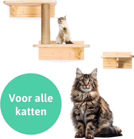 LBB Katzenkletterwand - Für jede Katze geeignet - Inkl. Kratzbaum - Wand - Auch für große Katzen - Wand - Regal - Möbel - Katzenspielzeug - Intelligenz - Spielzeug