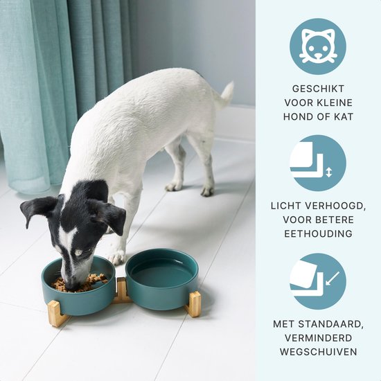 Fressnapf Katze und Hund Keramik - Fressnäpfe doppelt mit Ständer - Trinknapf - 2x 400 mL - Grün Matt