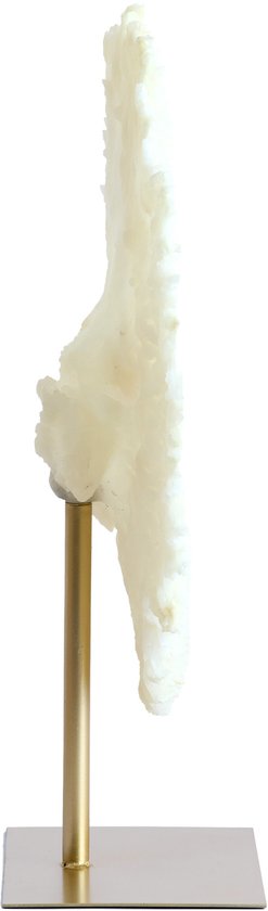 Light&living Ornament auf Sockel 46x20x69 cm CORAL creme+antike Bronze