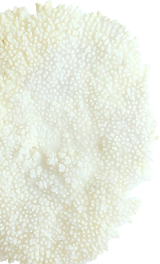 Light&living Ornament auf Sockel 46x20x69 cm CORAL creme+antike Bronze