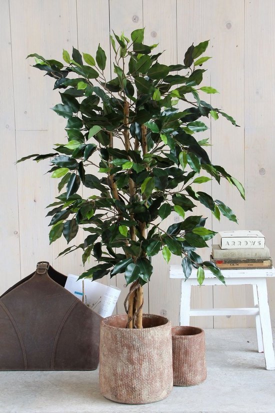 Mica Decorations Ficus Künstliche Pflanze - H110 x Ø65 cm - Grün