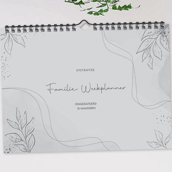 Systemyze Family Planner Basic 2025 - Planer - Wochenplaner - Familienplaner - Undatiert - Grau
