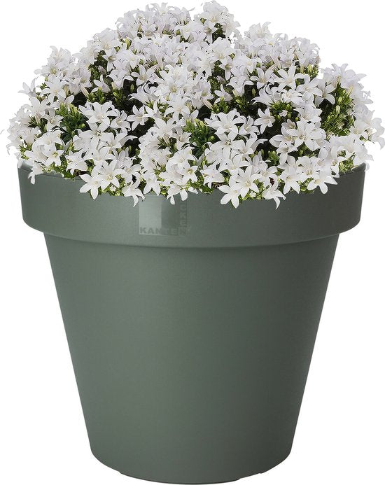 Pro Garden Blumentopf – dunkelgrün – rund – D40 cm – Kunststoff – Pflanztopf – Garten im Freien