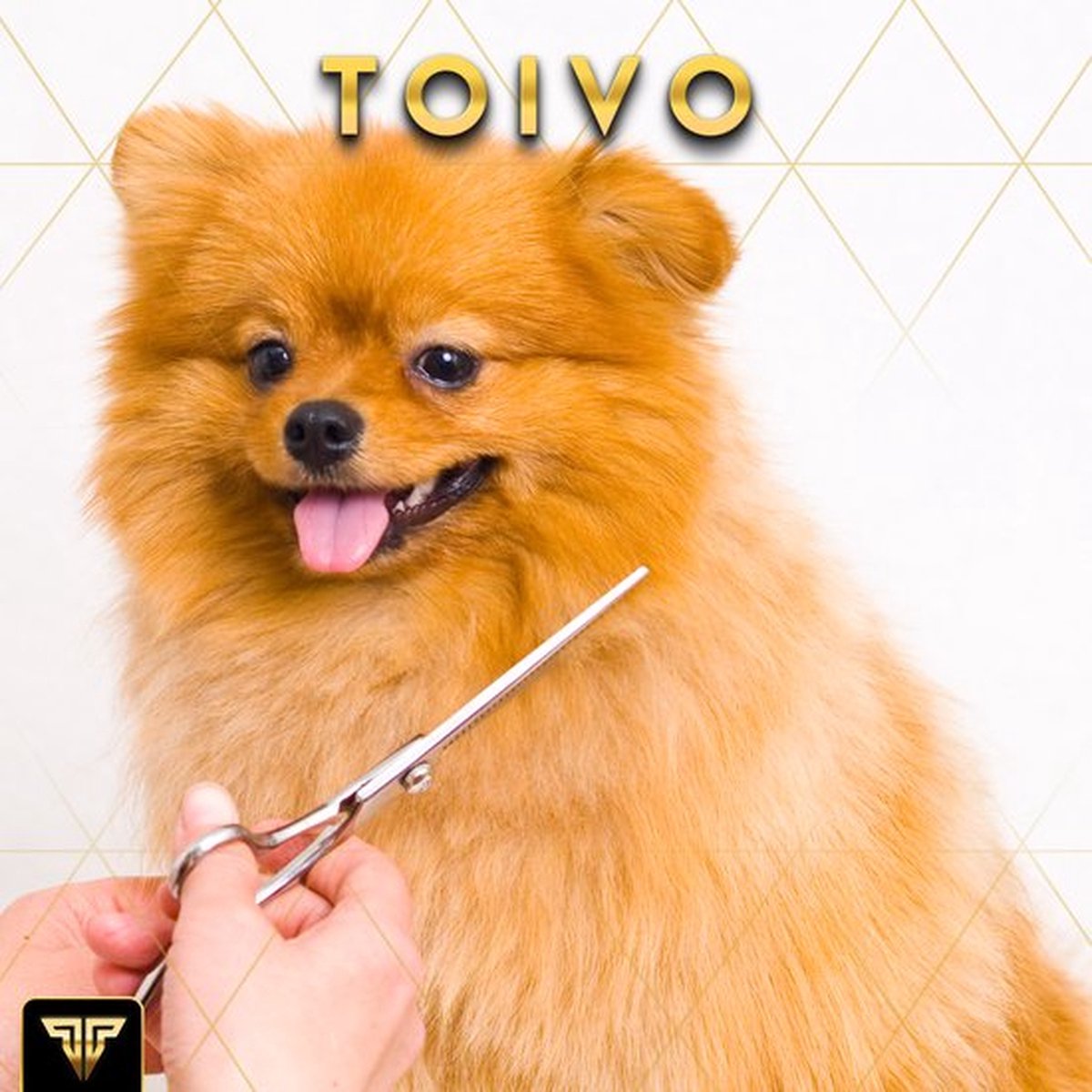 Toivo Schere für Tiere Komplettset - silber