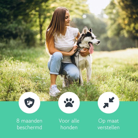 Dutchwide Zecken- und Flohhalsband für Katze und Hund - Tierfreundlich - Geeignet für Katzen, Hunde und Kätzchen - Einheitsgröße