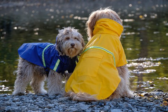 Dutchwide - Hundemantel - Regenmantel Hund - Blau - Größe S