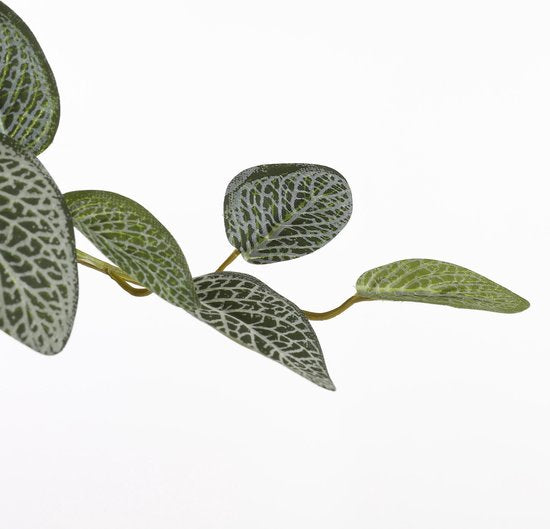 Mica Decorations Pilea Künstliche Hängepflanze - L20 x B30 x H70 cm - Grün