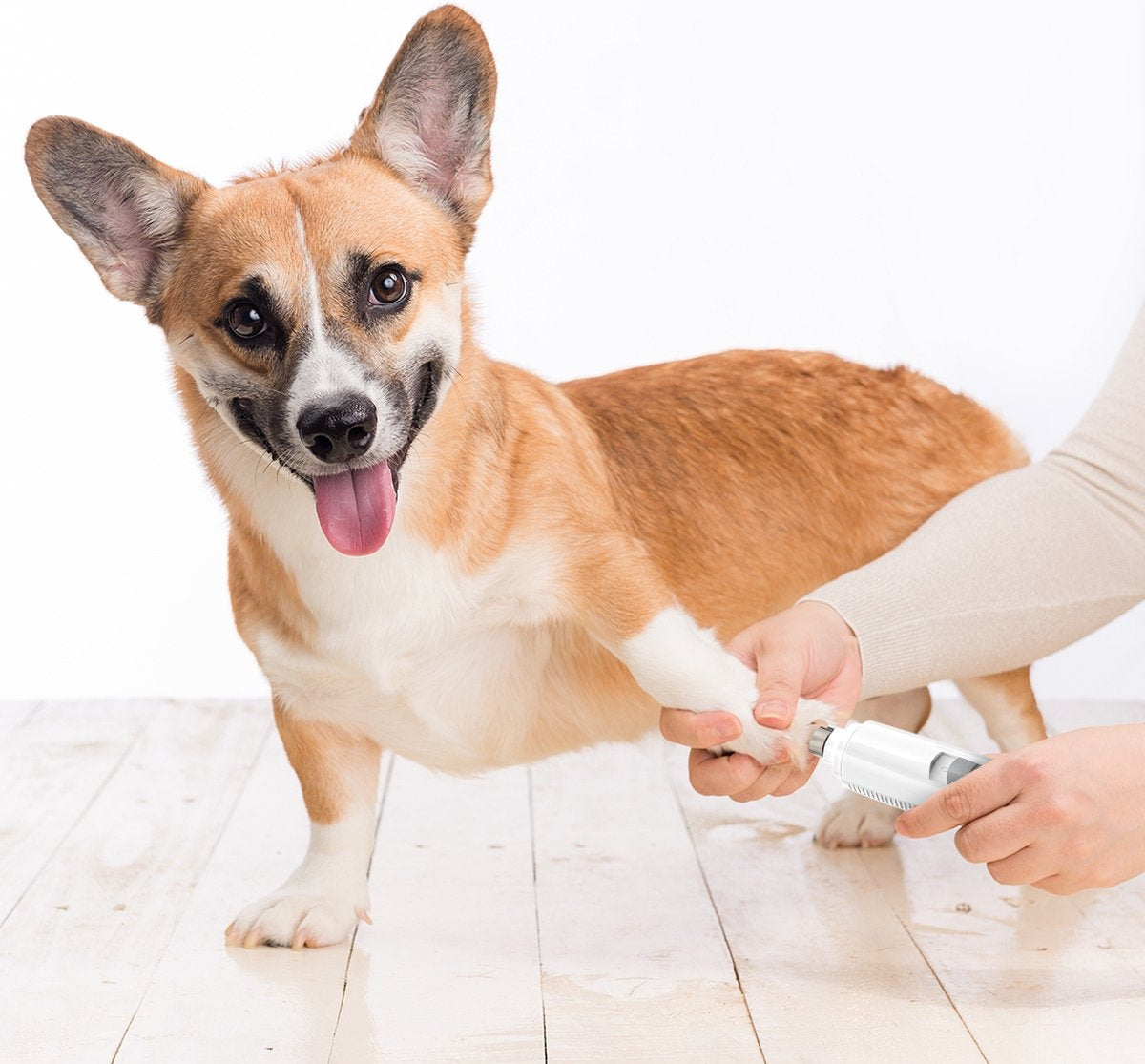 Auronic Elektrische Nagelfeile - für Tiere - wiederaufladbar - kabellos - Diamantfeilenkopf - Hund/Katze - weiß