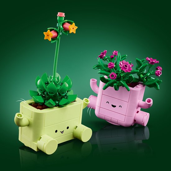 LEGO Botanicals – Schaukelnde Pflanzen und Blumen – Bausatz für Kinder – 11506