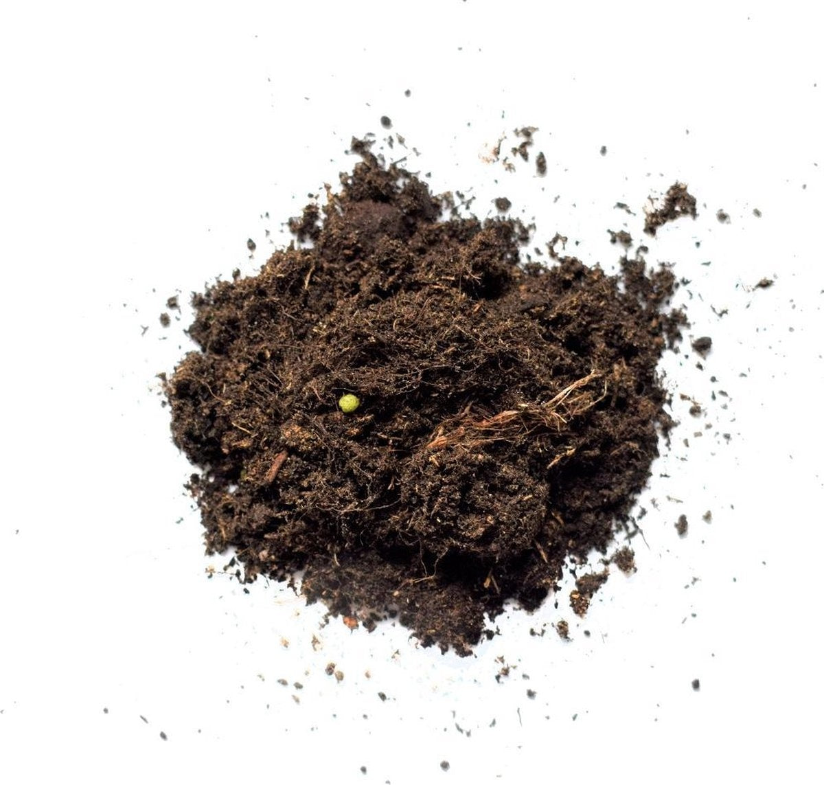 Pokon Houseplants Potting Soil - 10l - Blumenerde (Zimmerpflanze) - 6 Monate Ernährung
