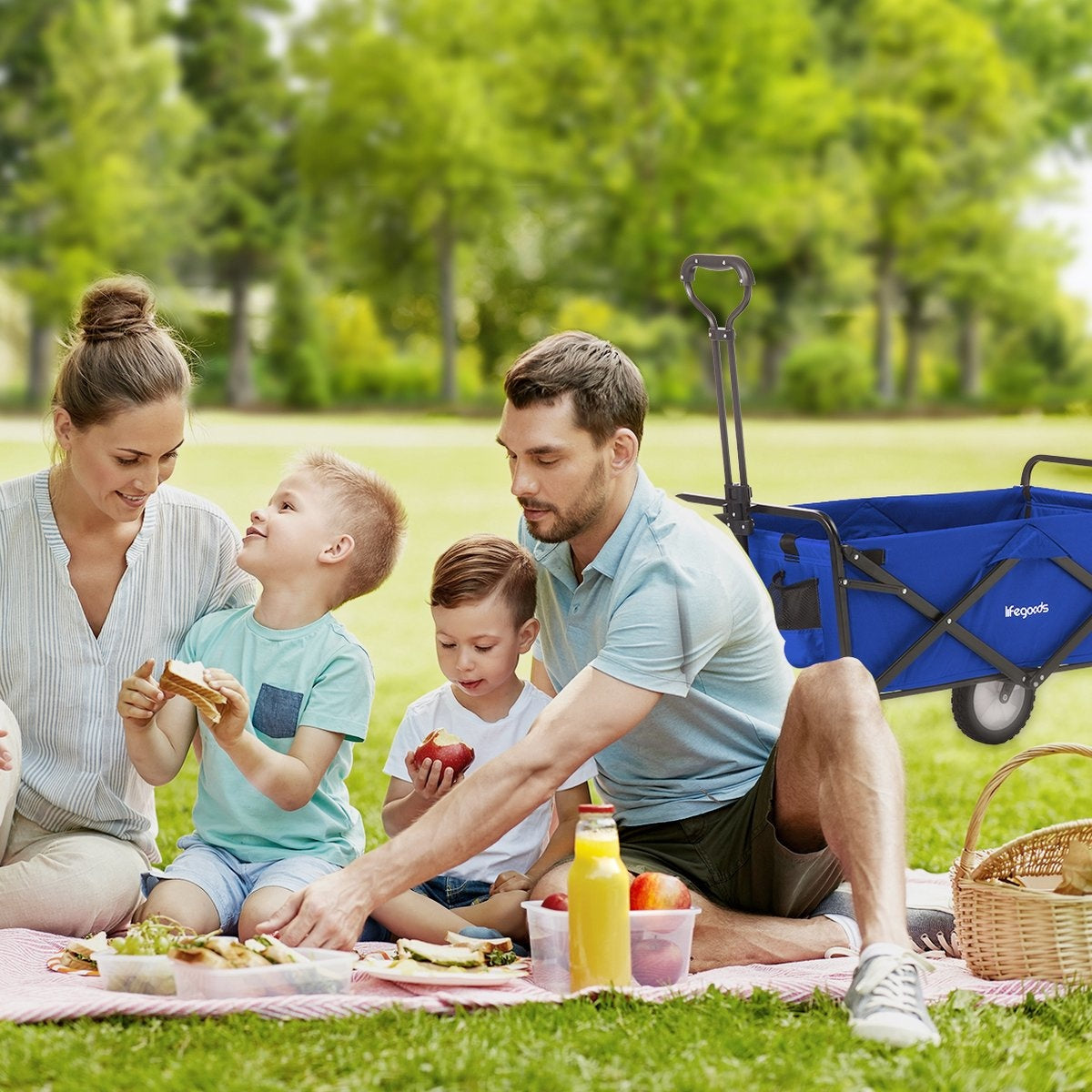 LifeGoods Bollerwagen - faltbar - drehbare Räder - 2 Ständer - 70kg Tragfähigkeit - Blau