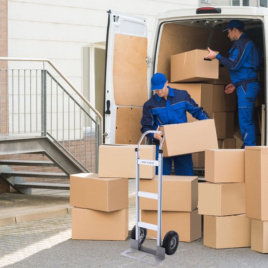 BRASQ Faltbarer Aluminium-Trolley - Kapazität 250 KG - Transportwagen - Plattformwagen - Trolley