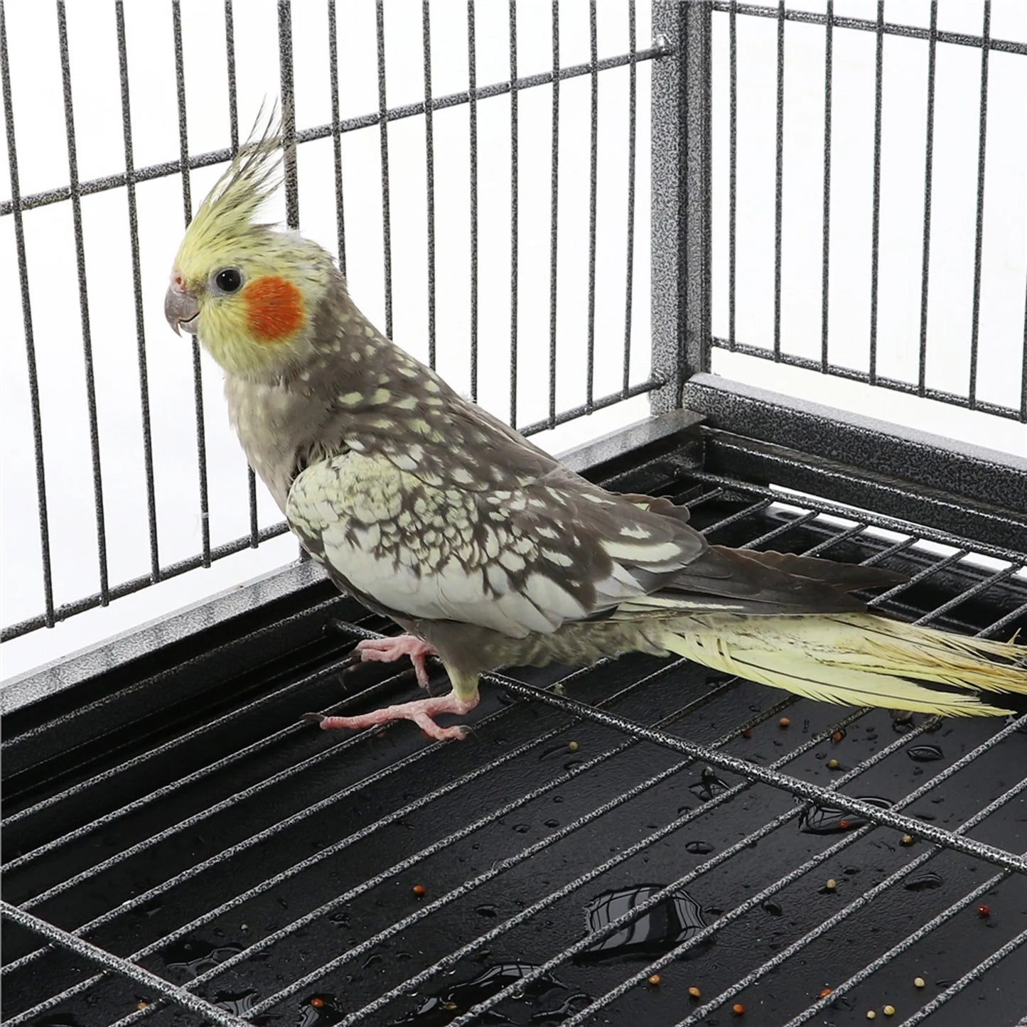 Yaheetech XXL Vogelkäfig mit 360° Rollen - Ausgestattet mit unterem Ablagefach und 4 Sitzstangen und abnehmbarer Bodenplatte - Für Sittiche und Falken - Schwarzes Metall - 93,5 x 56,5 x 153 cm