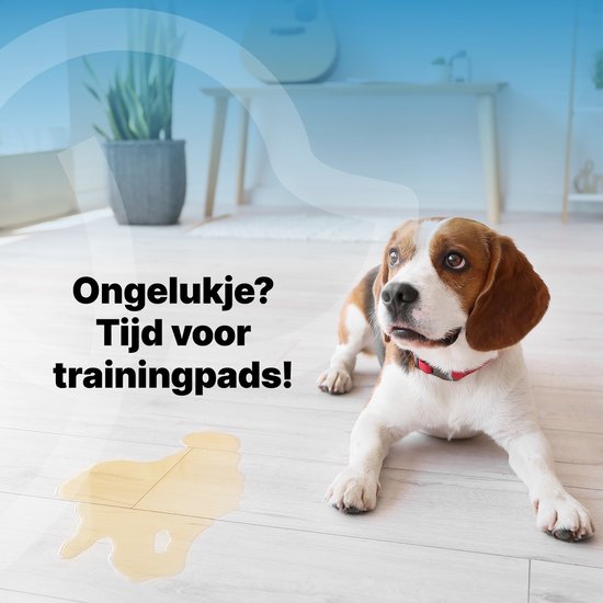 Jake and Jacky 240 Puppy Training Pads 60 x 90 cm - mit Klebestreifen - Toilettentraining Hund - Hundetoilette - Pinkelpads Hund - Extra Large
