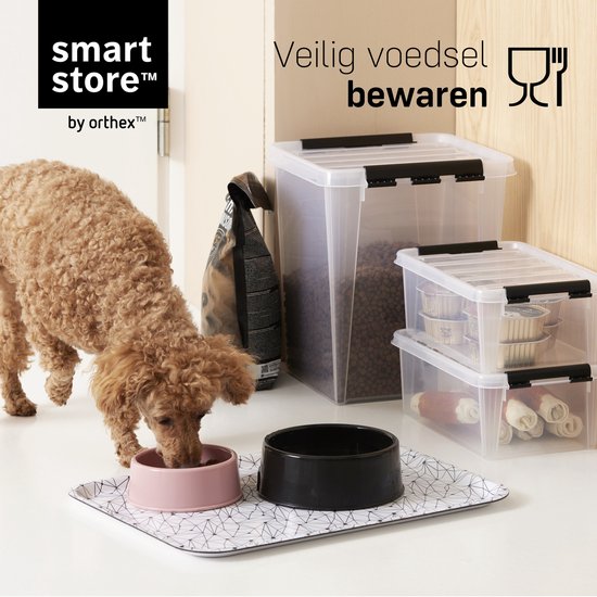 Orthex SmartStore Classic Aufbewahrungsbox mit Einteiler – transparent – 14 Liter – 3er-Set