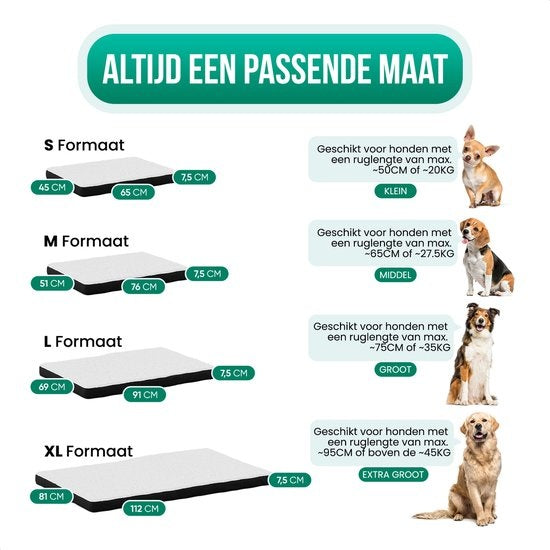 Avalo Orthopädisches Hundekissen S - 45x65 cm - Waschbar / Memory Foam / Anti-Rutsch - Orthopädischer Hundekorb