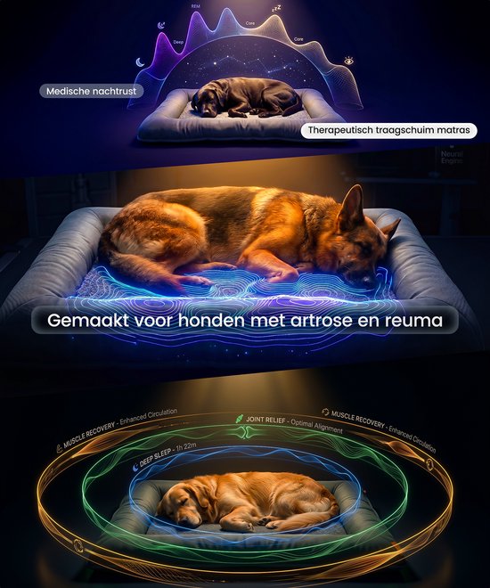 Happysnoots® Orthopädisches Hundekissen – XL-Hundekorb 85 x 70 cm – Waschbares Hundebett – Graues Hundekissen mit Reißverschluss