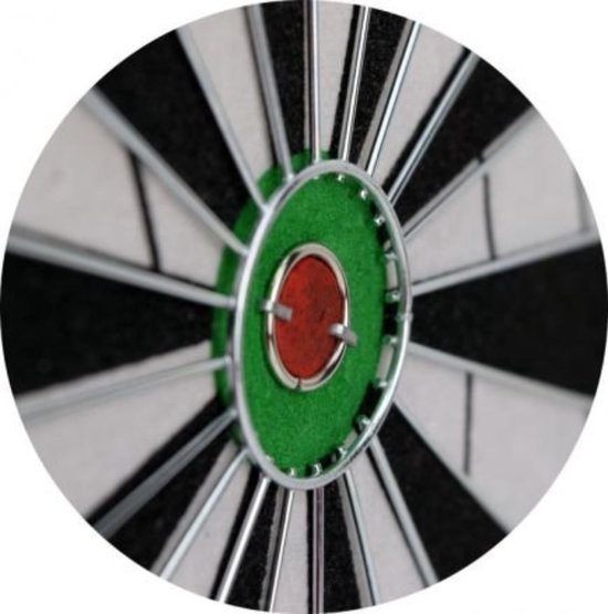 Masterdarts Dartscheibe 45cm x 2 cm mit 2 Pfeil-Sets