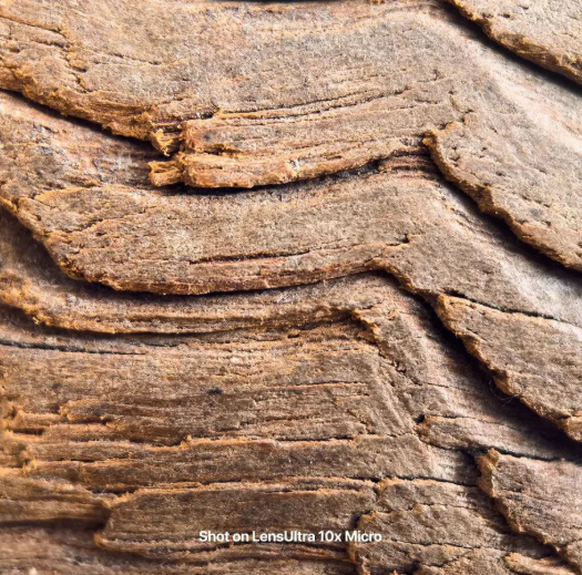 Shiftcam LensUltra 10x Traditional Macro – 10-fache optische Vergrößerung – optisches Glas in DSLR-Qualität – M37-Gewinde – S.Mount