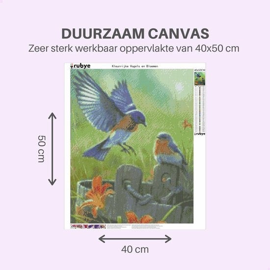 RubyeÂ® Diamantmalerei Erwachsene - Diamantmalerei Kinder - Diamantmalerei Komplettpaket - Vögel und Blumen - 40x50cm