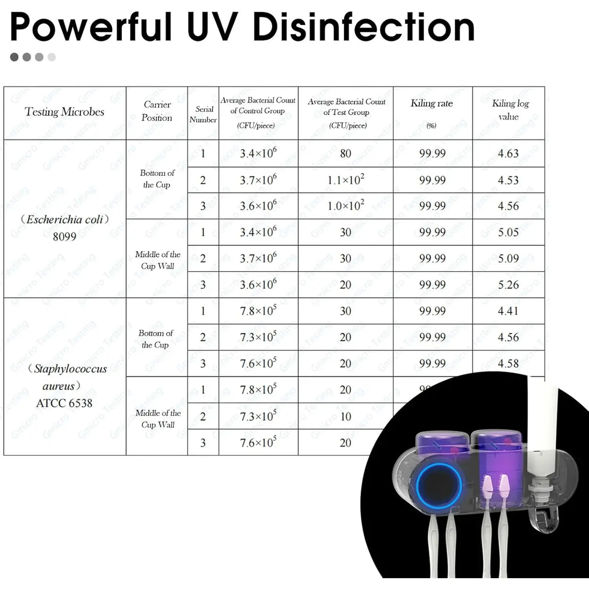 Ihave Zahnbürsten-Desinfektionsgerät F1102 mit Halterung